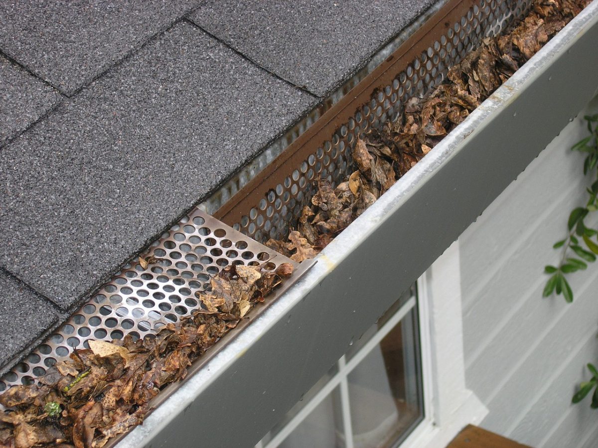 Reasons You Should Hire Gutter Cleaning Pros