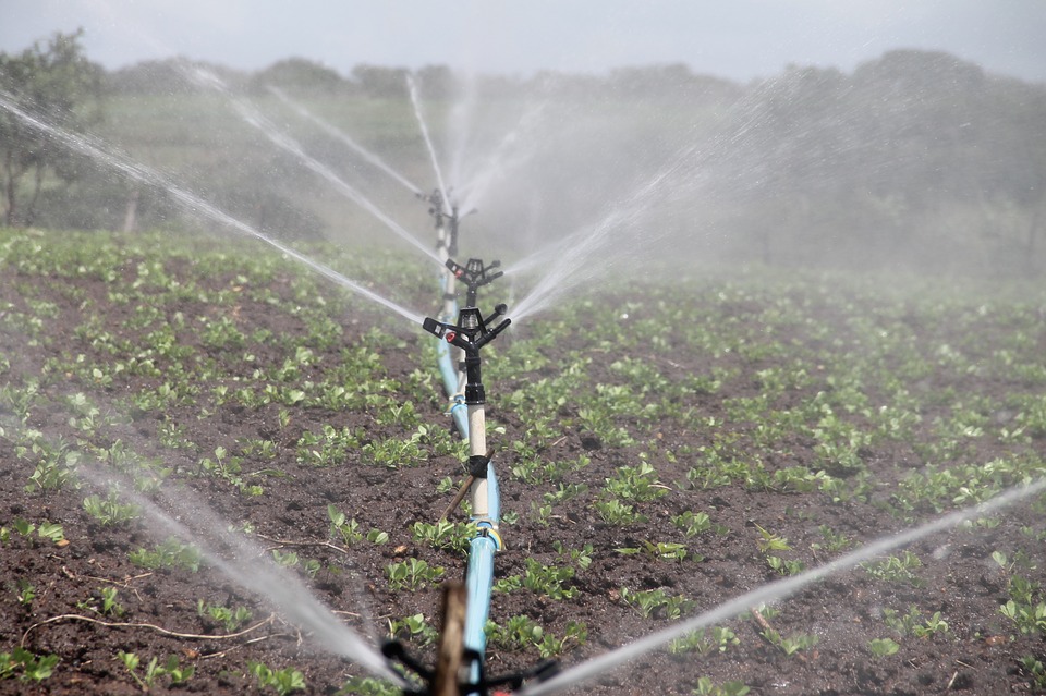 Effective Irrigation System Installation