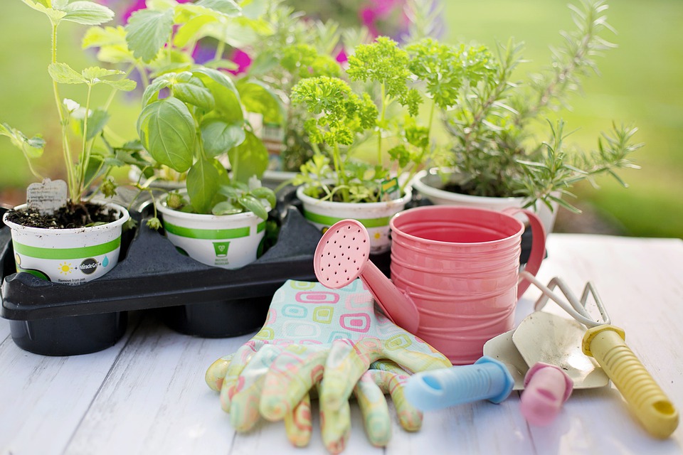 Why Is Children Gardening Kits Important?