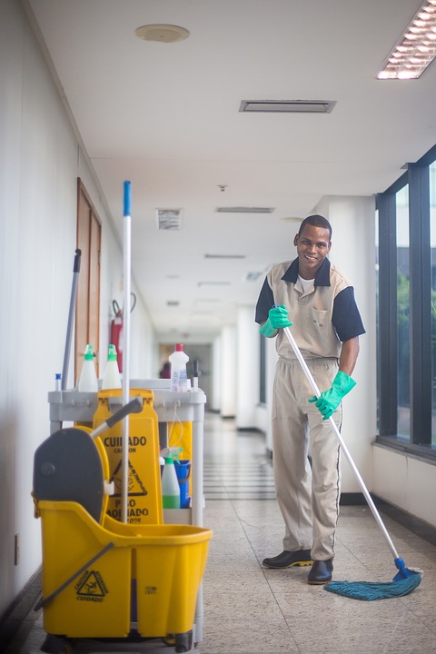 House Washing Roseville Services