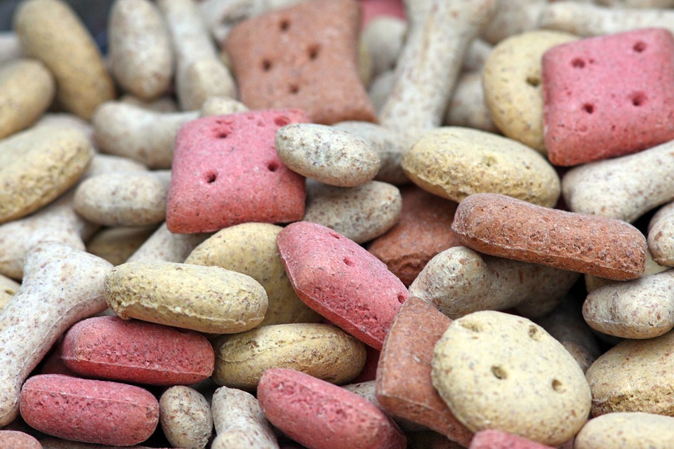Organic Dog Treats For Healthier Snacking Anytime