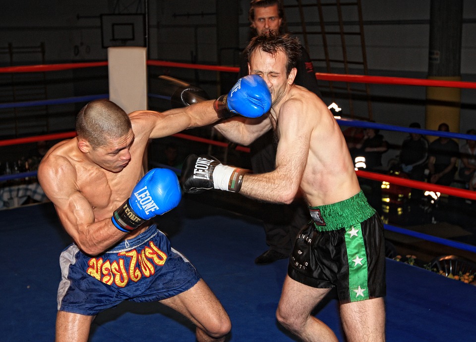 Tips To Write The Best Combat Sports Articles