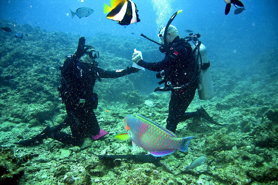 What Dive Instructor Courses Do I Need To Become A Certified Scuba Instructor?