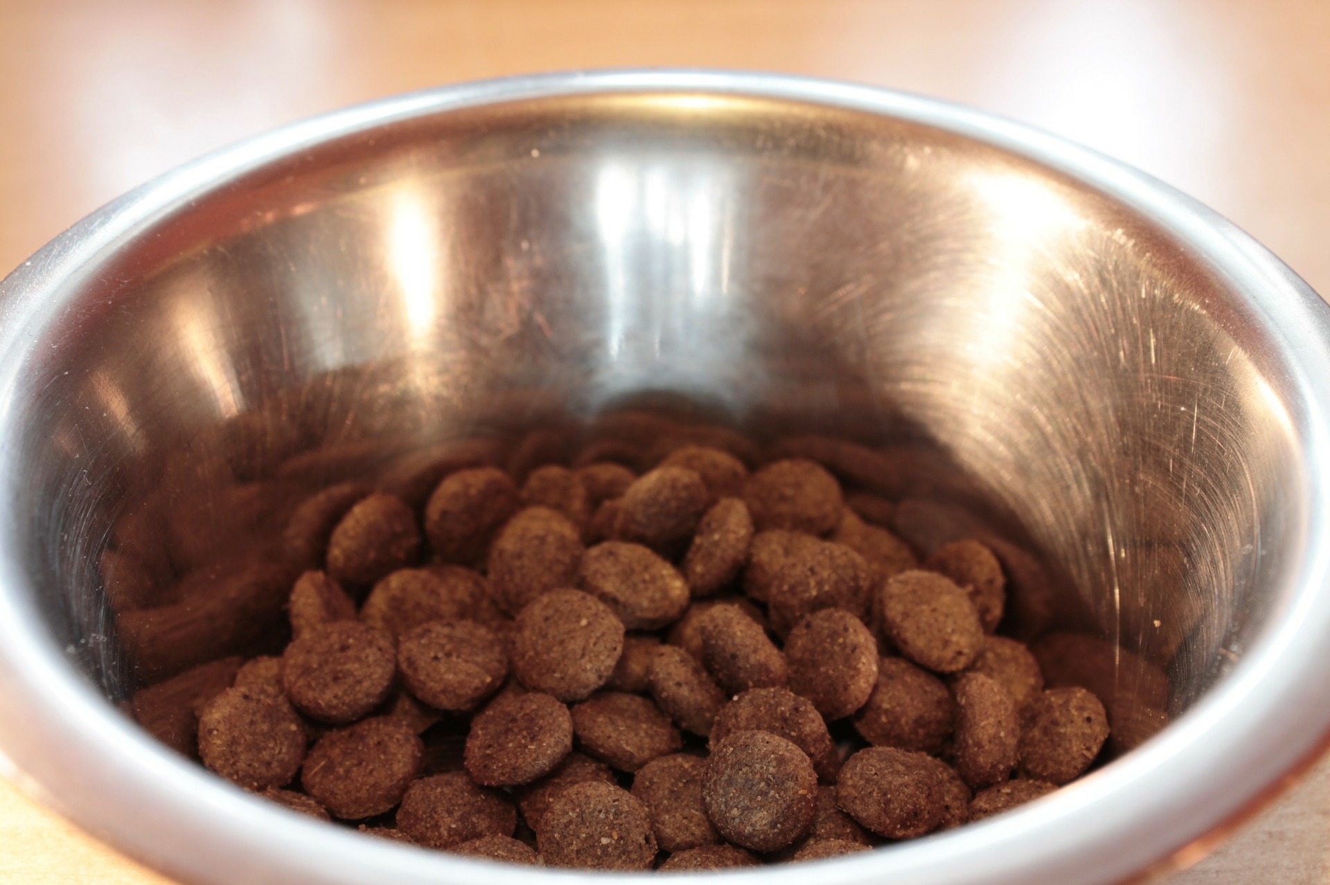 food-bowl-281978_1920