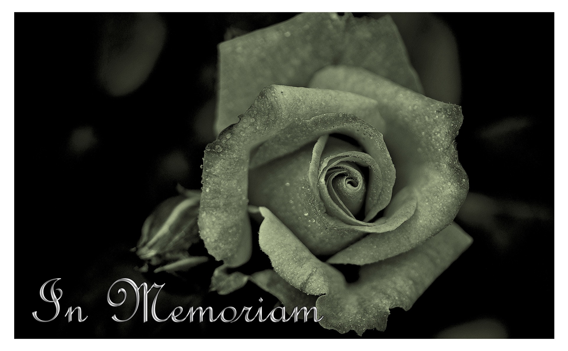 mourning-108781_1920