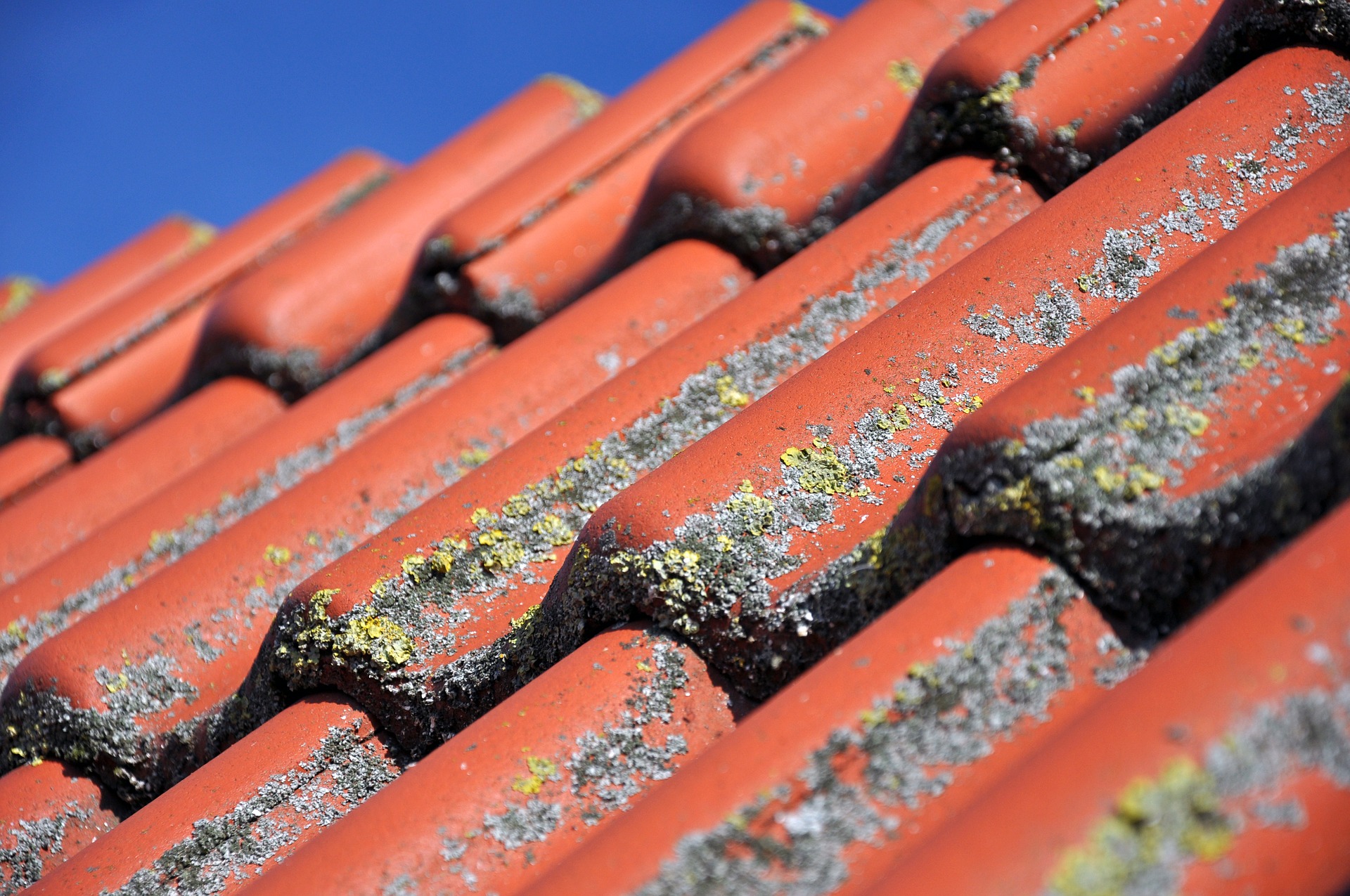 roof-1559814_1920