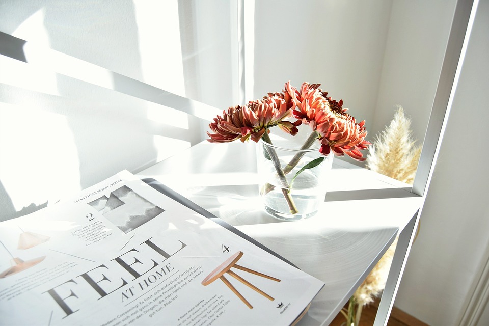 magazine-2559842_960_720