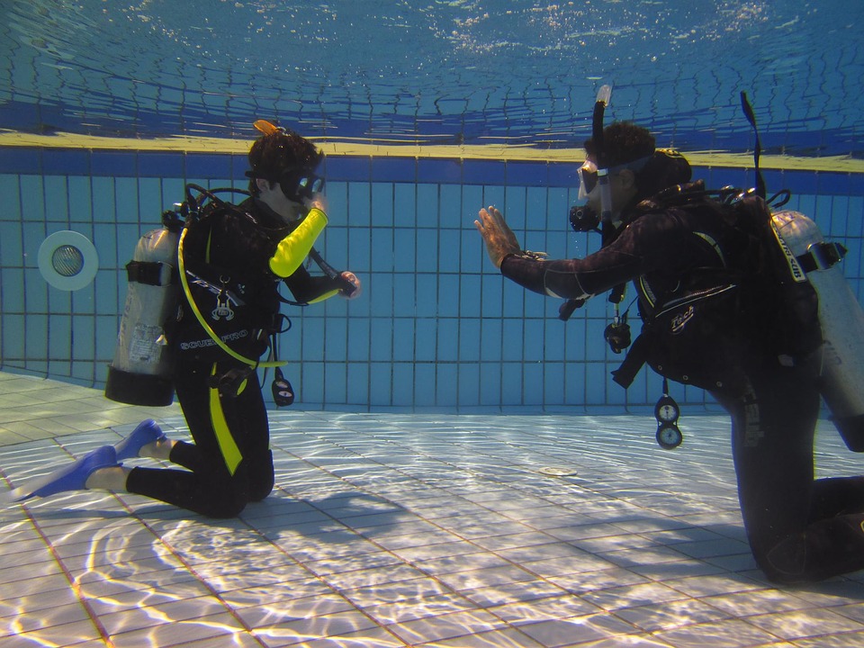 Choose Your Dive Training School Well: Points To Consider