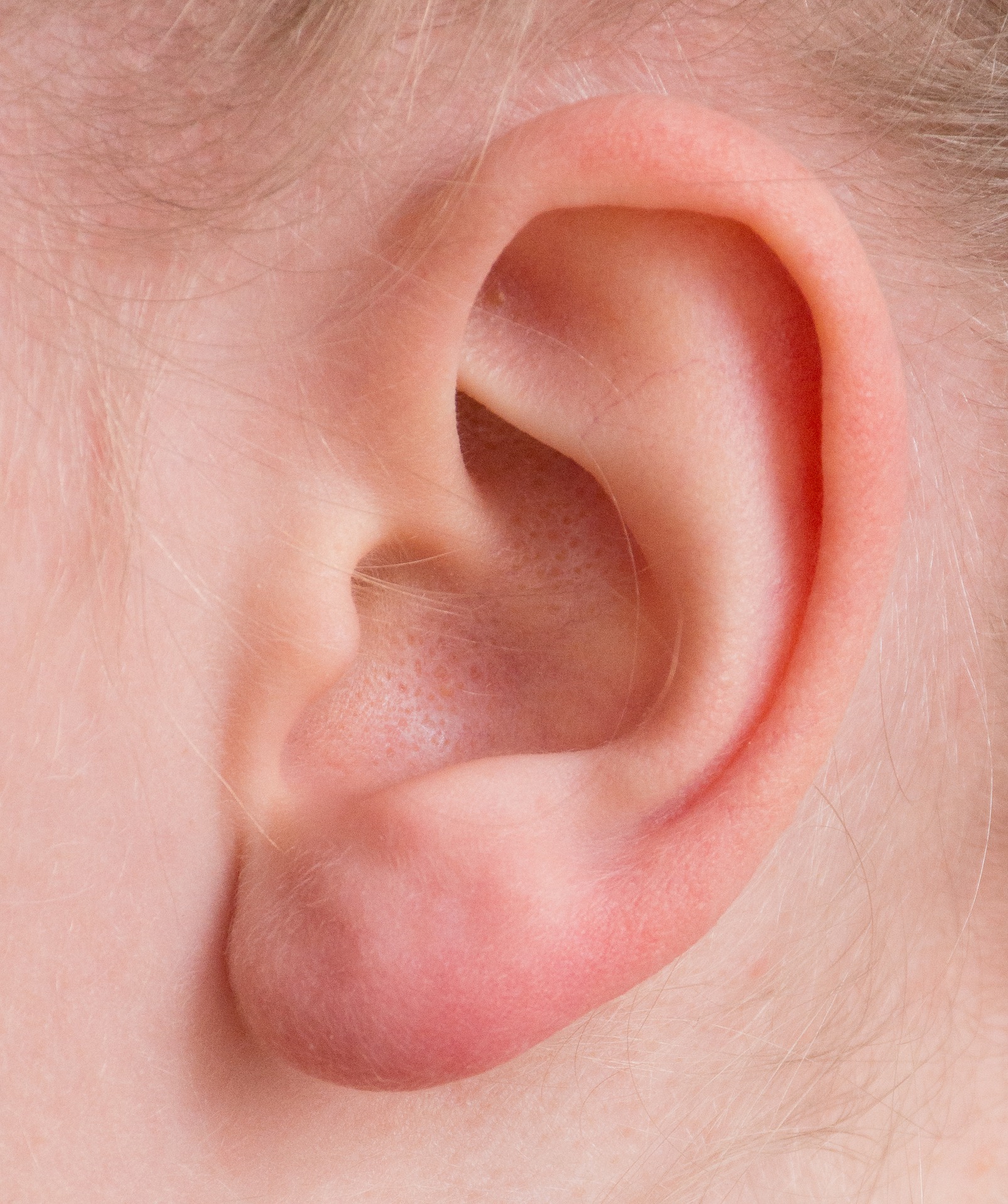ear-2372090_1920 (1)