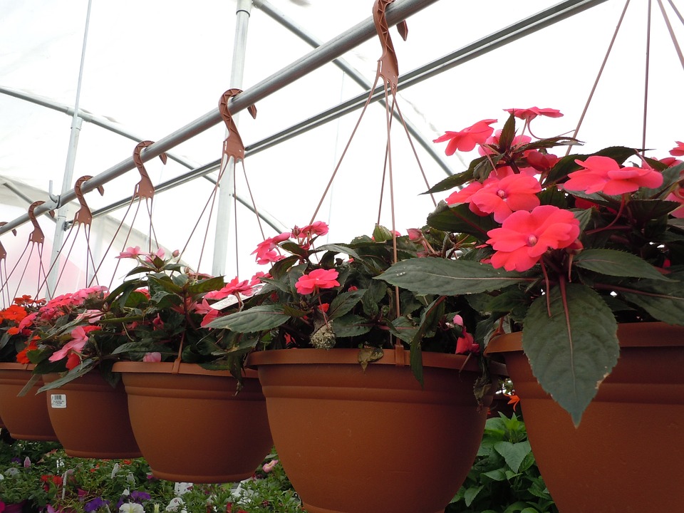 Understanding Plant Air Pots And How To Use Them