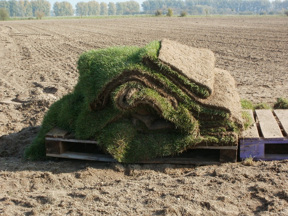 Reliable Sod Installation Calgary