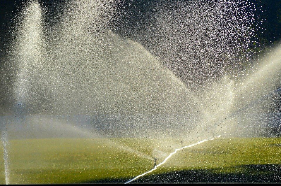 How To Choose The Best Lawn Sprinklers