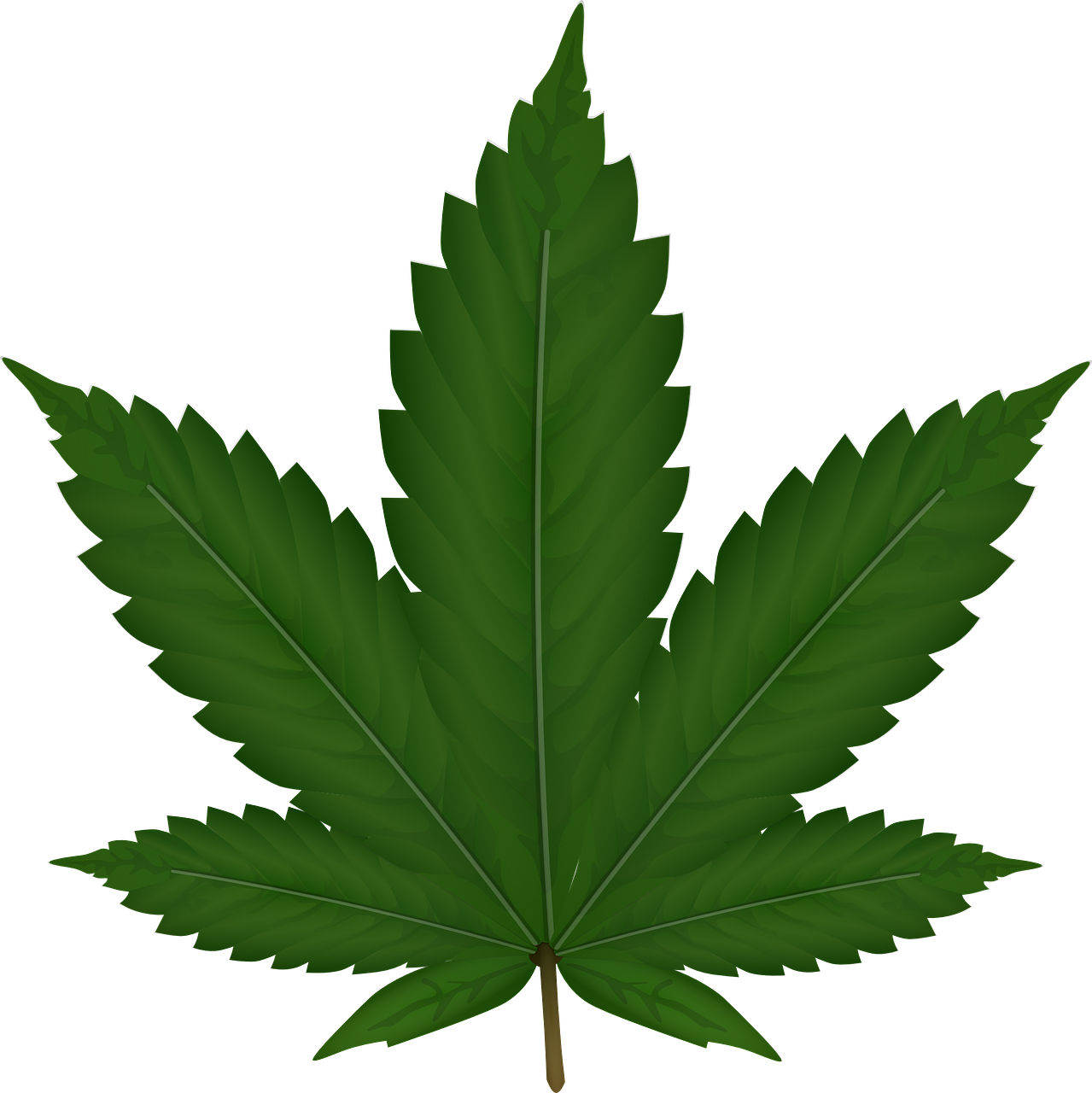 cannabis-306291_1280 (1)