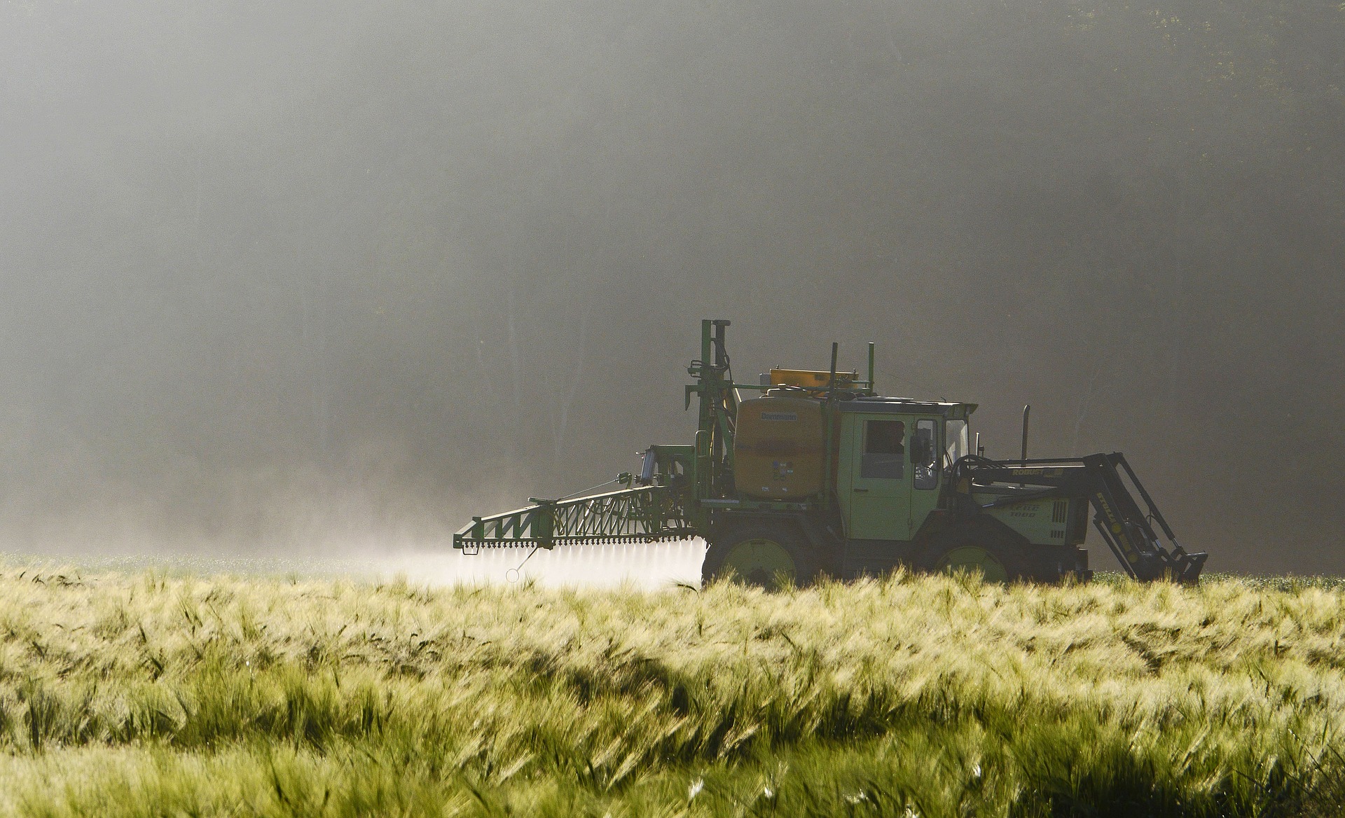 agriculture-2361978_1920