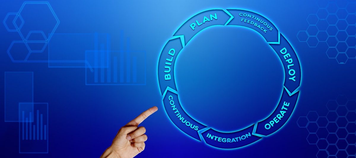 Secure Software Development Lifecycle