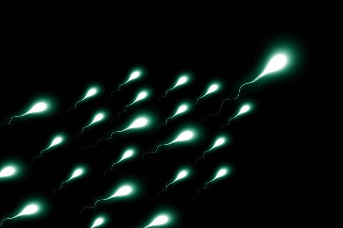 The Benefits And Cost Of Sperm Freezing In Canada