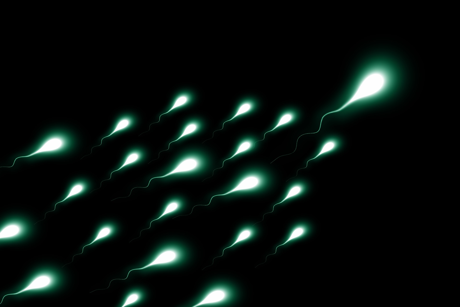 sperium-2505952_1920