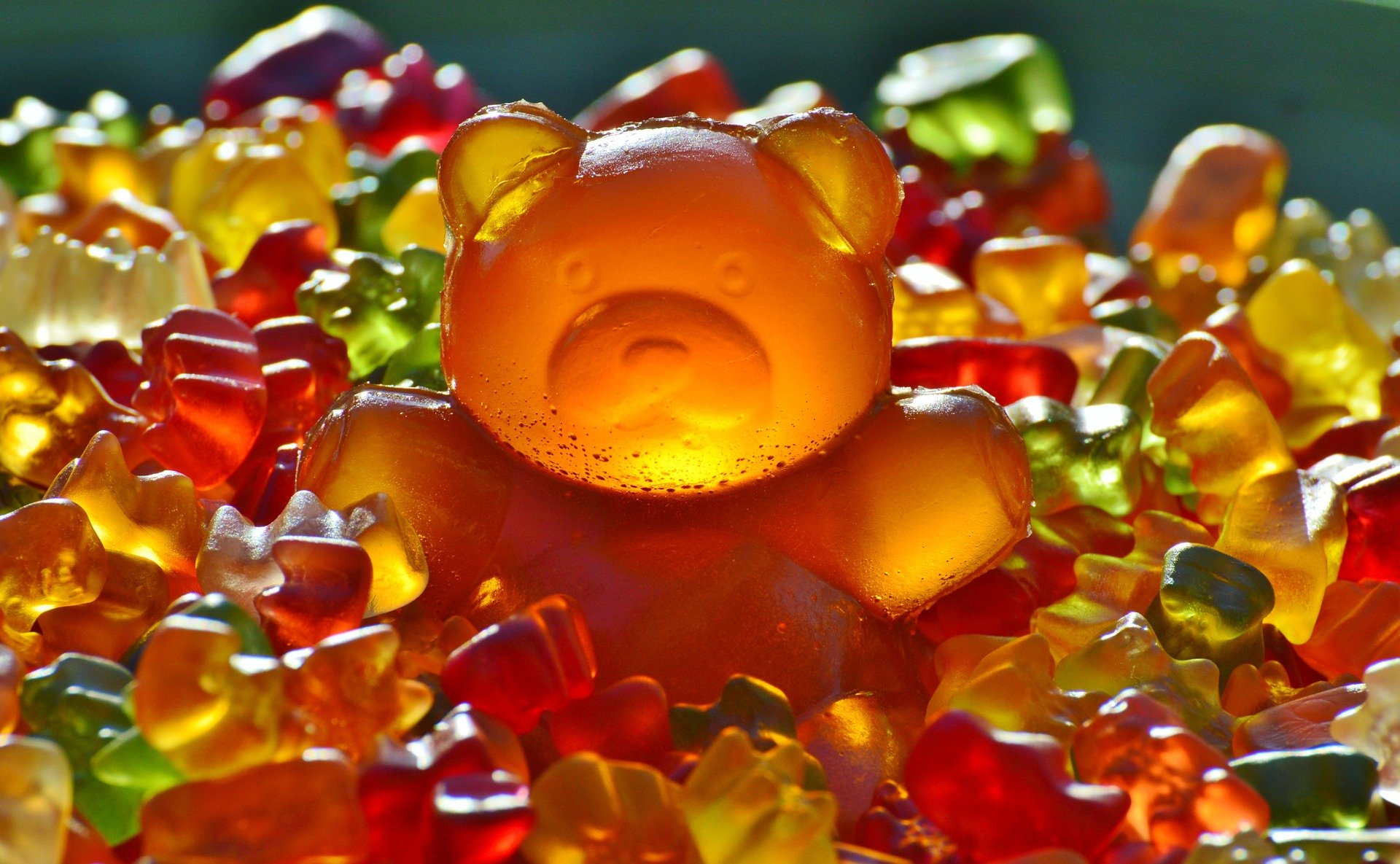 giant-gummy-bear-1089612_1920 (1)