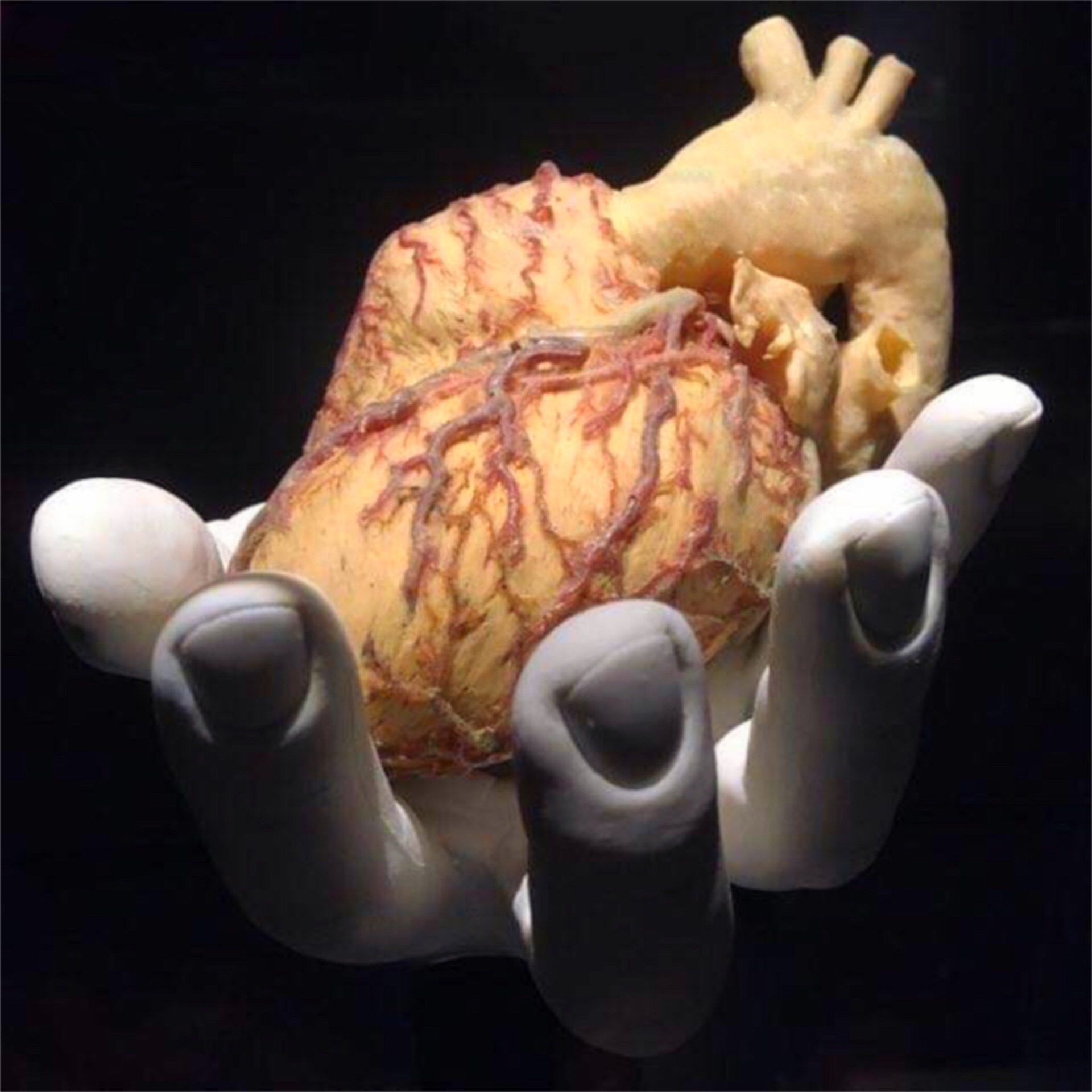 human-heart-g7934cbedb_1920