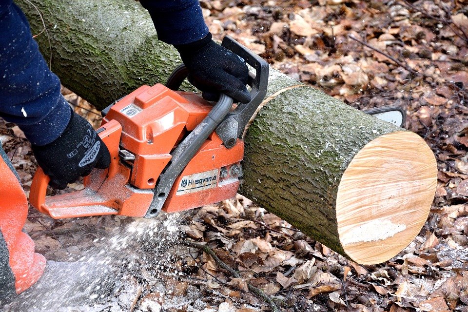 The Best Tree Surgeons Reading