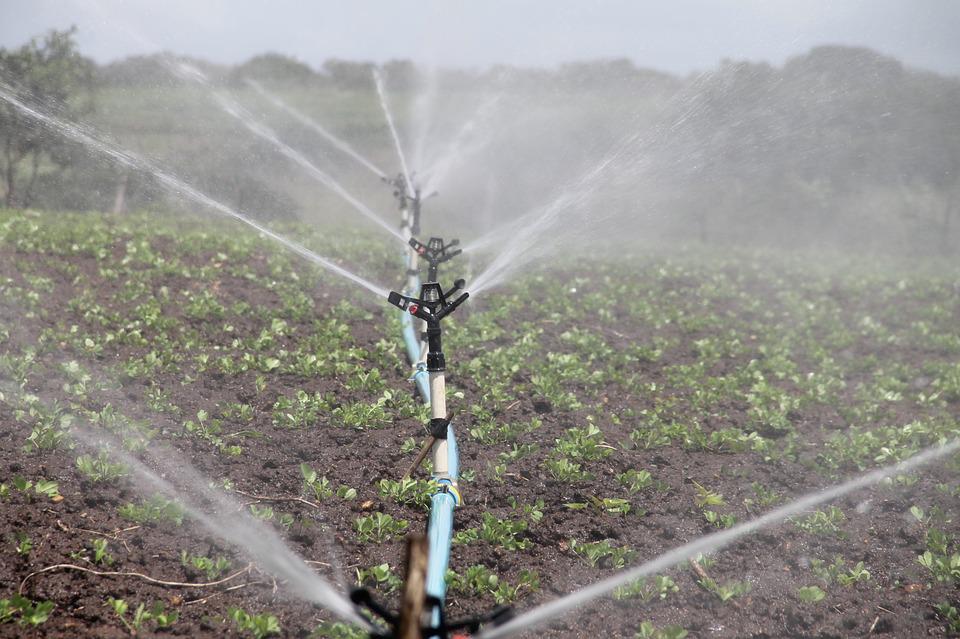 Who Are Irrigation Contractors?