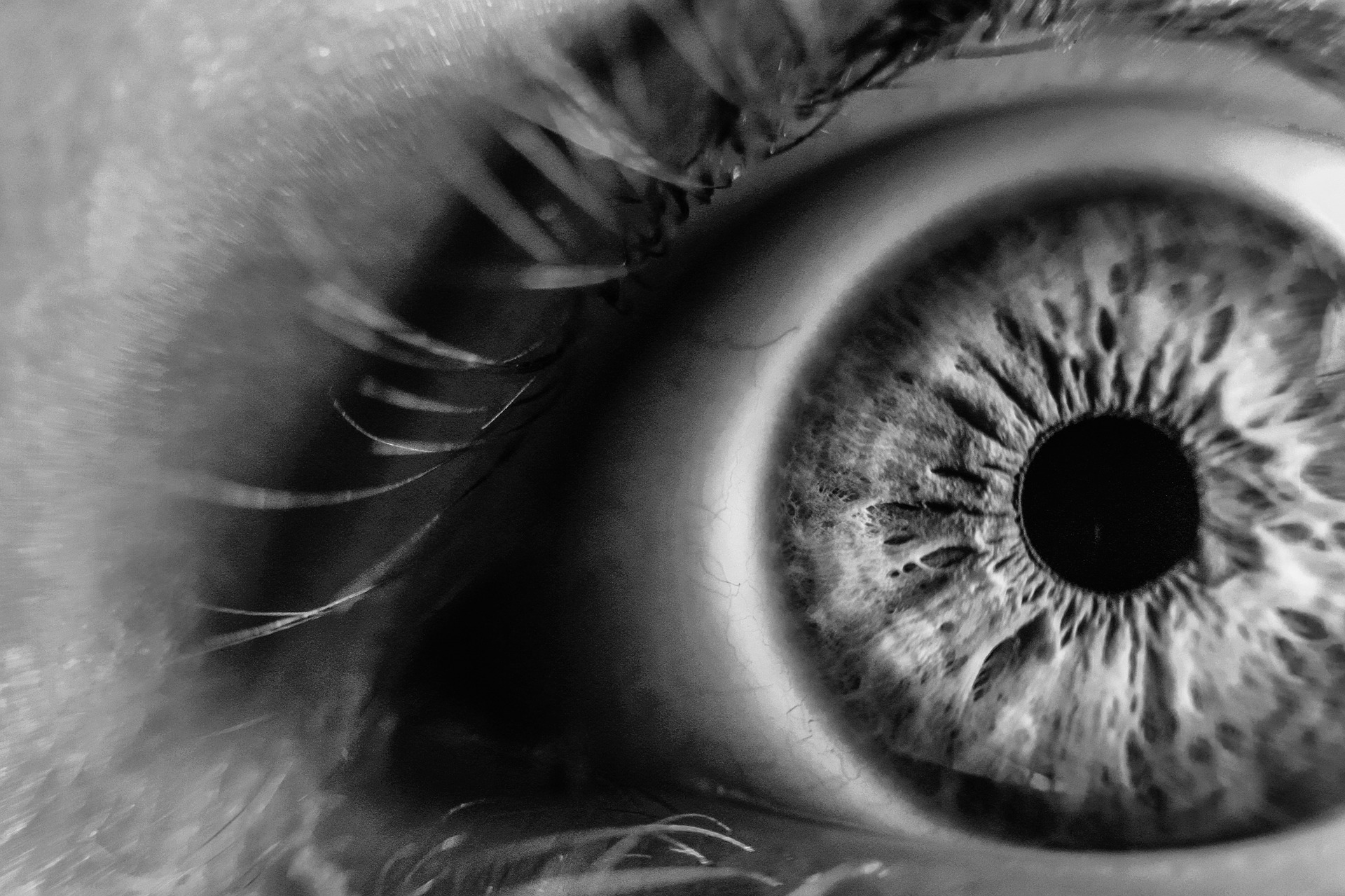 close-up-1845247_1920