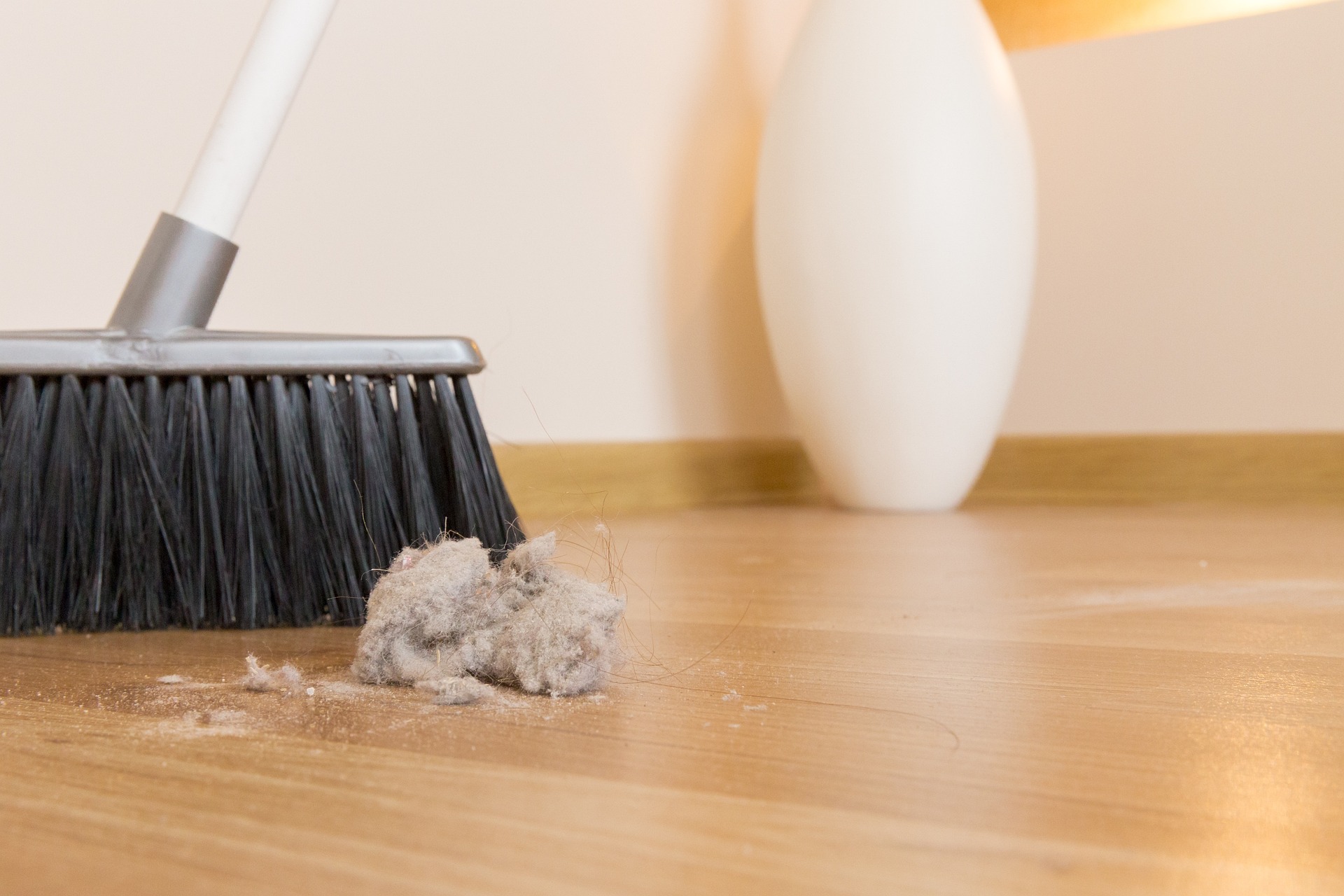 broom-6786526_1920
