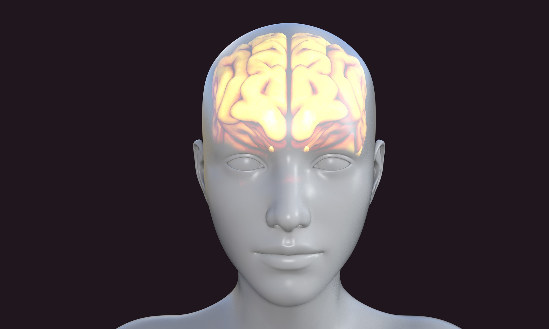 human-5937756_1920