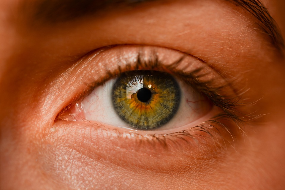 Sclera Contacts White: What You Need to Know