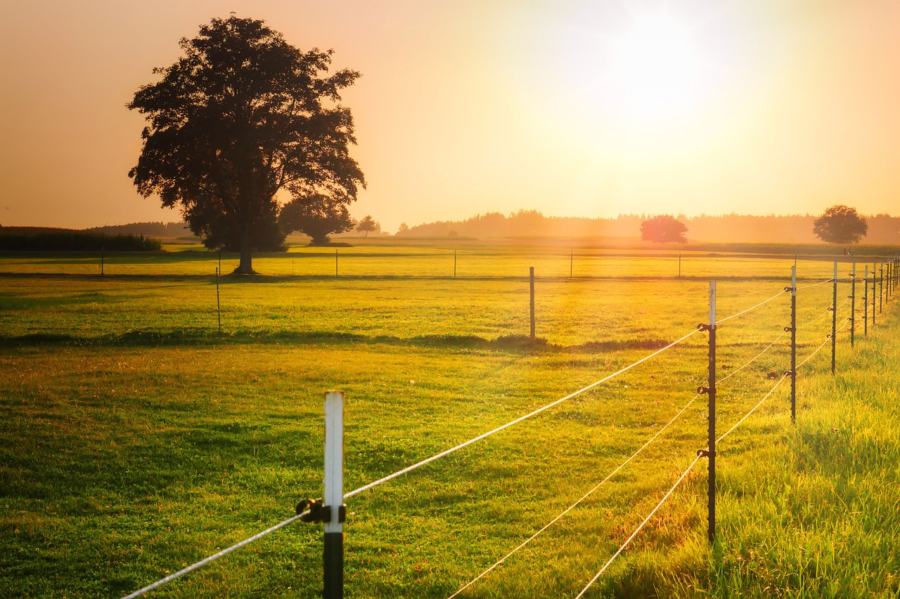 Best Practices for Protecting Your Property with Rural Fencing
