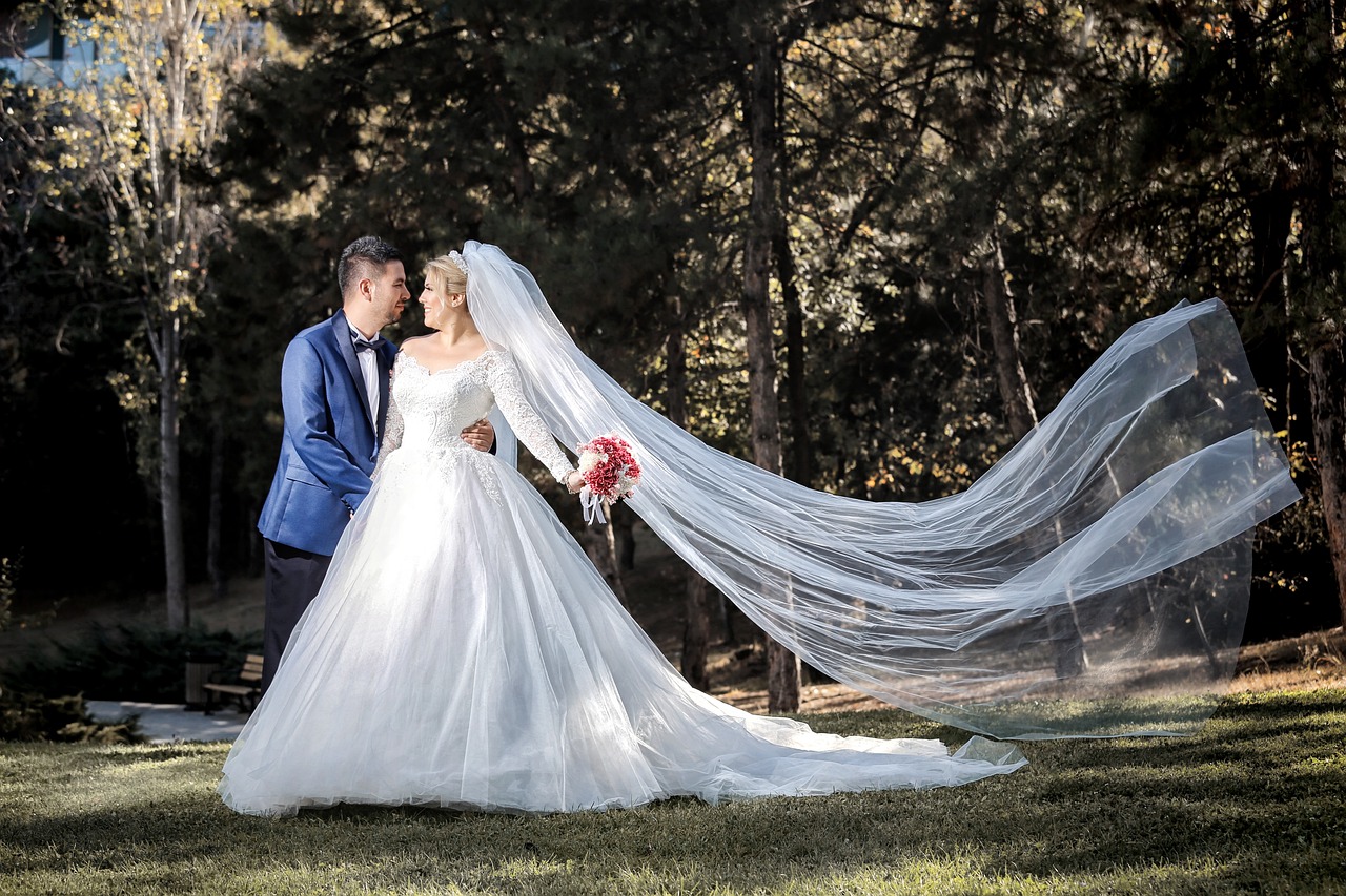 bride-3863283_1280