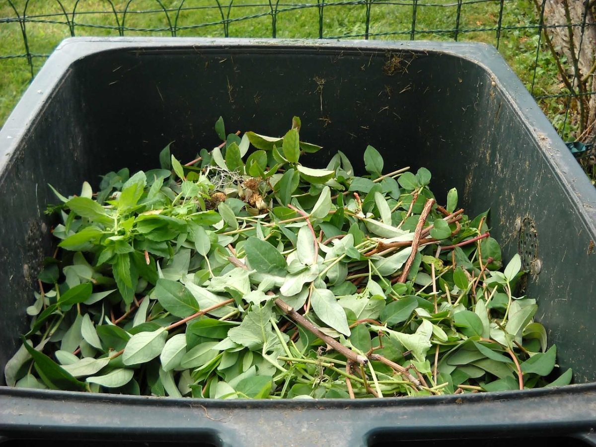 The Importance of Removing Garden Rubbish