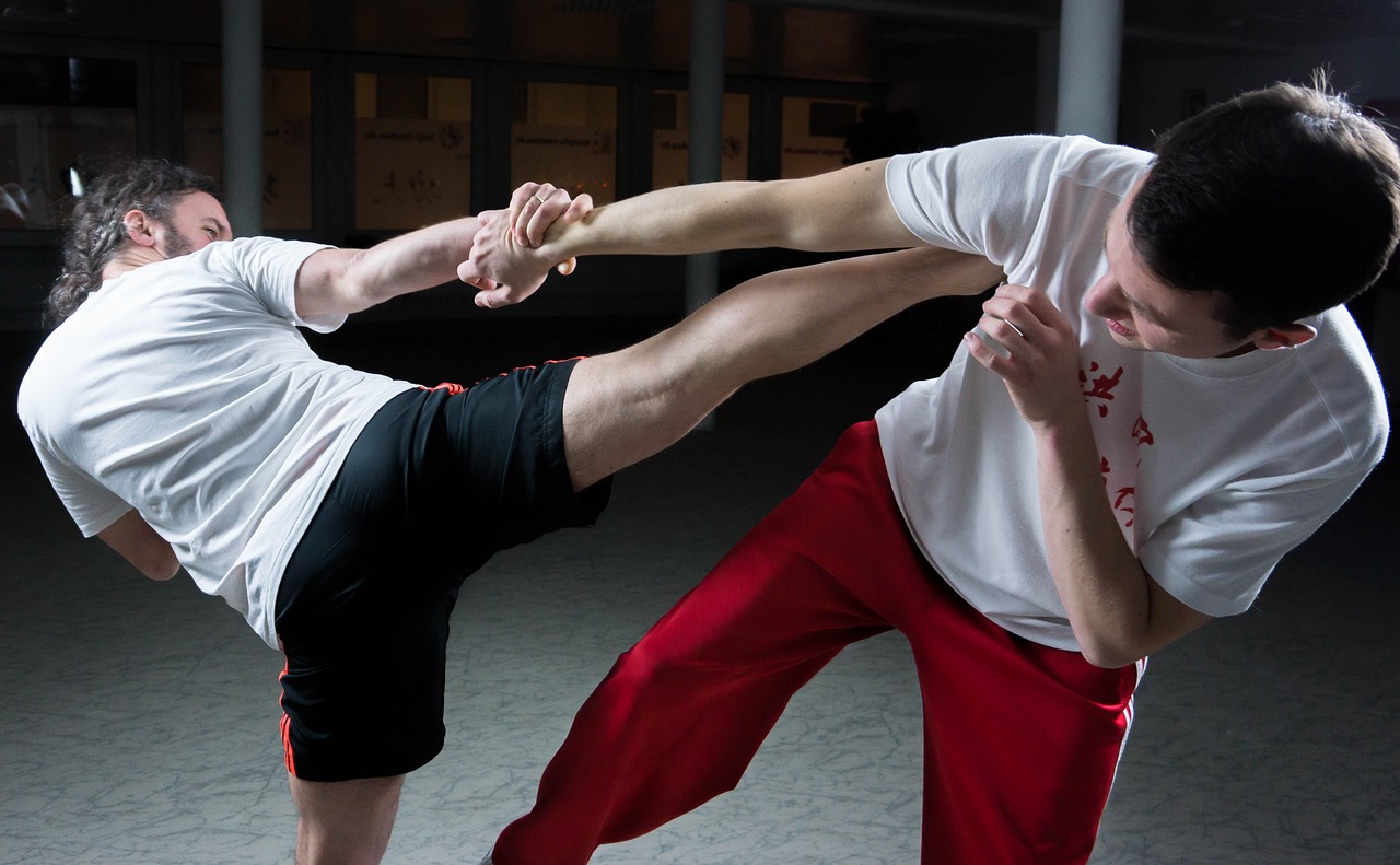 kung-fu-2198043_1280